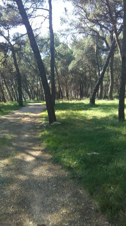 Apartment Soldo Zadar Zewnętrze zdjęcie