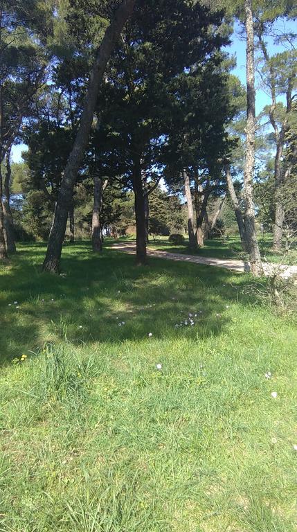 Apartment Soldo Zadar Zewnętrze zdjęcie
